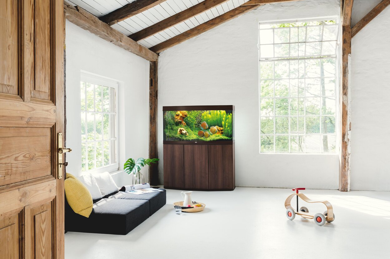 Vision 260 LED | JUWEL Aquarium